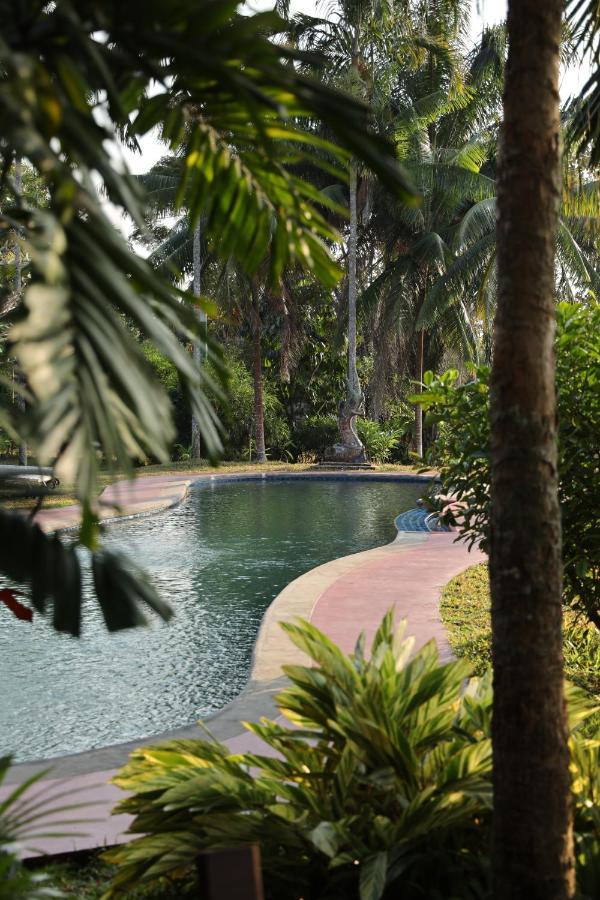 Naga Hill Resort Chiang Rai Luaran gambar